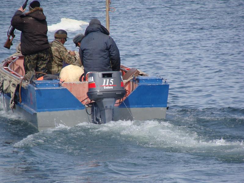 Siberia 319.jpg